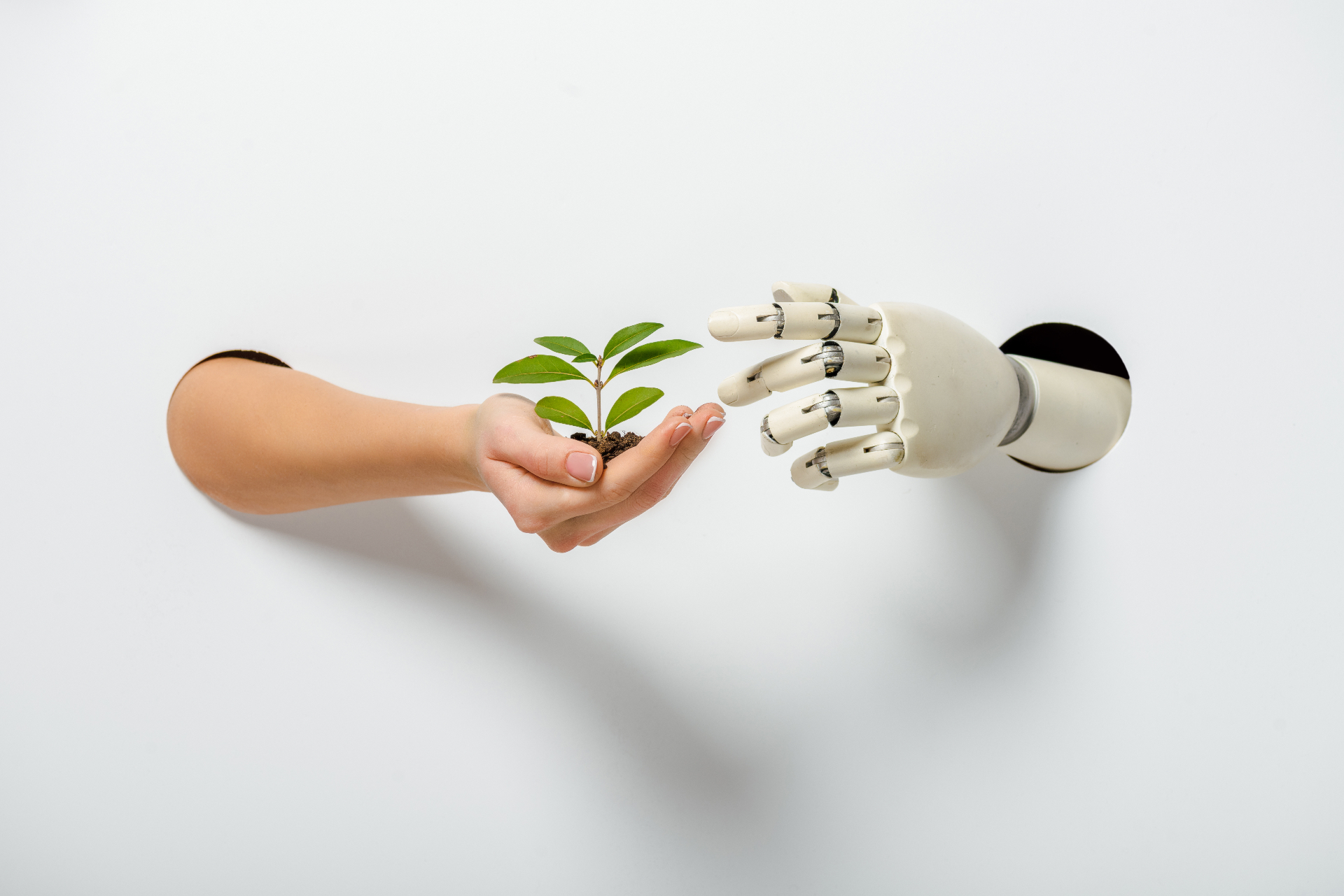 Human hand and robot hand nurturing a green plant — symbolizing AI and sustainability