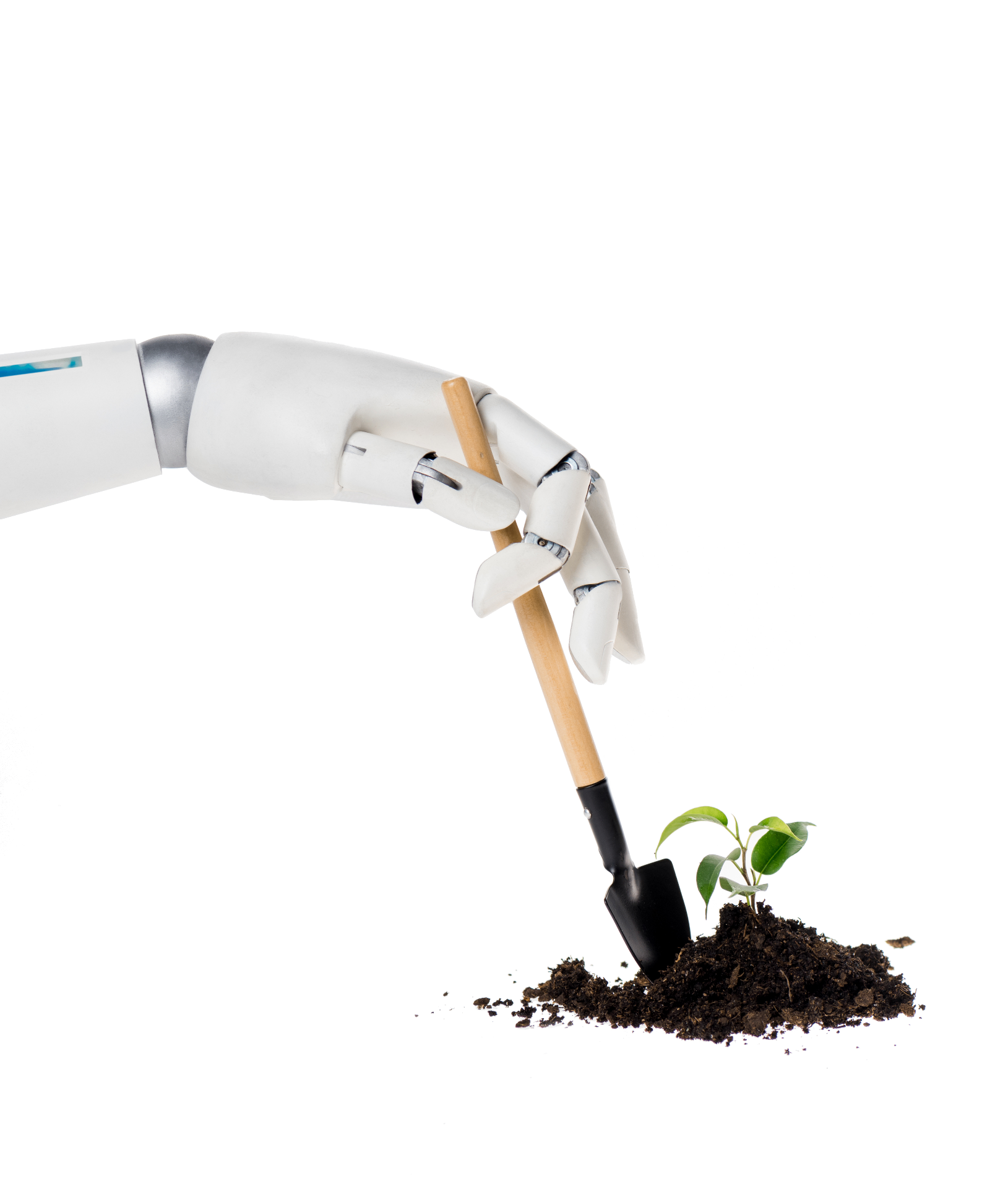 Robot hand planting a seedling — symbolizing AI and sustainability